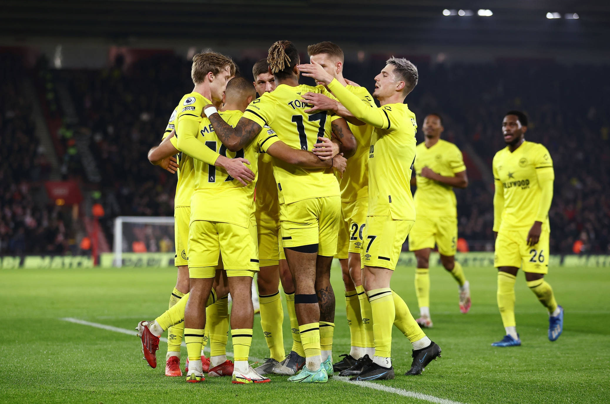 正是他广泛 正是他广泛